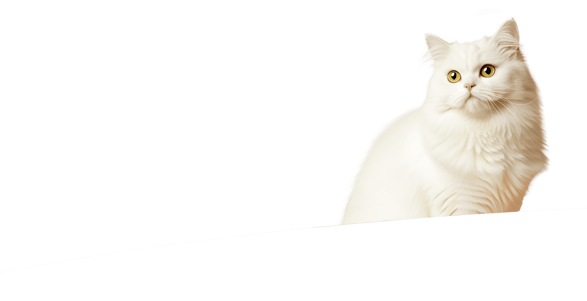 Ảnh mèo c catsrang cho web_1764391272.png