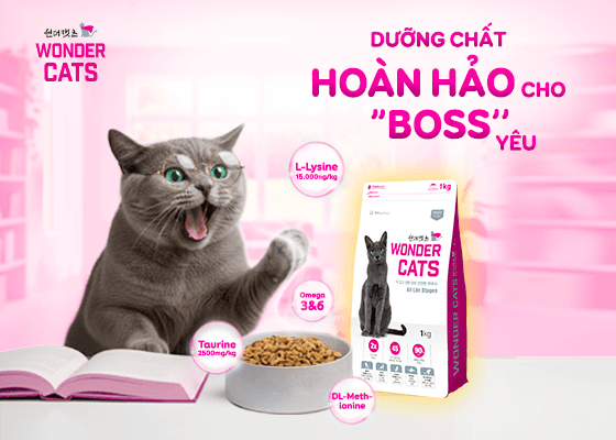 Decoding the Ingredient List of Cat Kibble with Wonder Cats