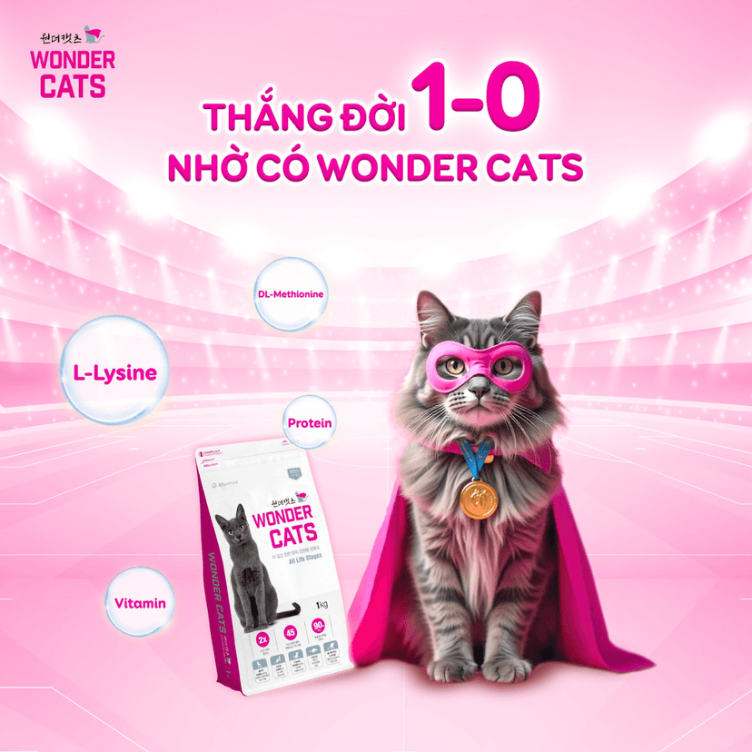 Giải mã bảng thành phần thức ăn hạt cho mèo cùng Wonder Cats