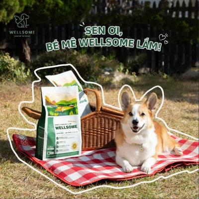 Vì sao protein côn trùng ruồi lính đen ít gây dị ứng hơn các protein động vật khác?