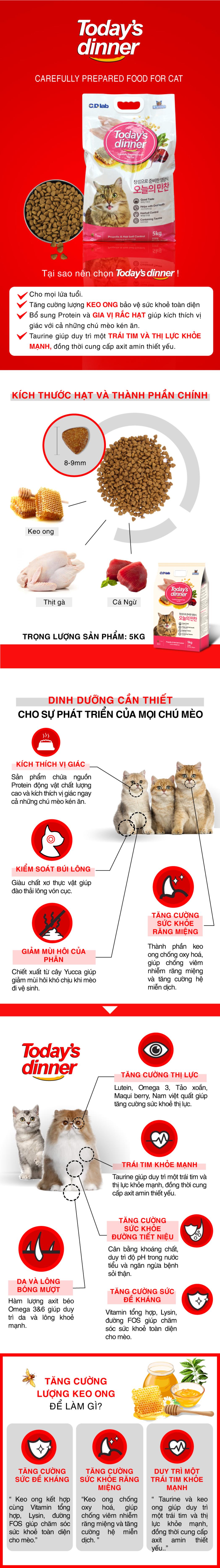 Mèo mlt 1_1766996946.jpg