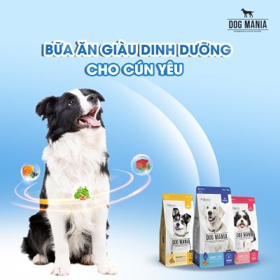 Answers to 5+ Common Questions About Puppy Health Care