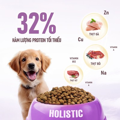 Top 3 best animal protein sources for dogs
