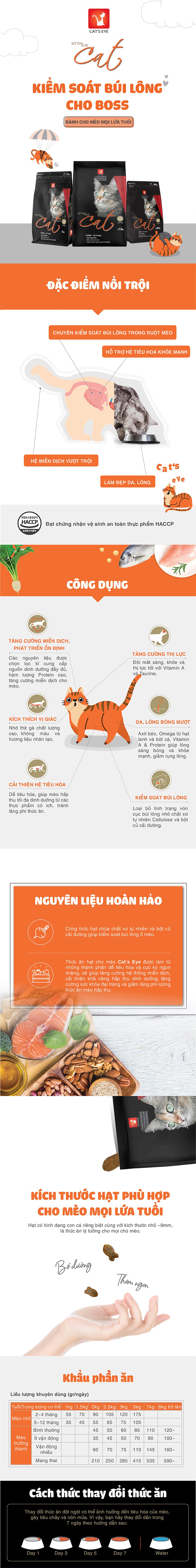 TỜ WEB CATS EYE_THƯỜNG_1765331678.jpg