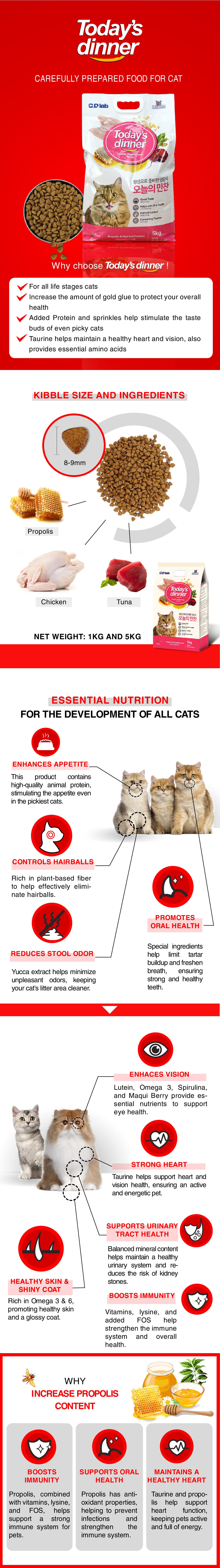 WEB_giới thiệu sp Today's dinner_ENG-14_1766996970.jpg